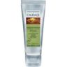 CAUDALIE VINOTHERAPIE Hand and Nail Cream 75mL, 2.5Oz